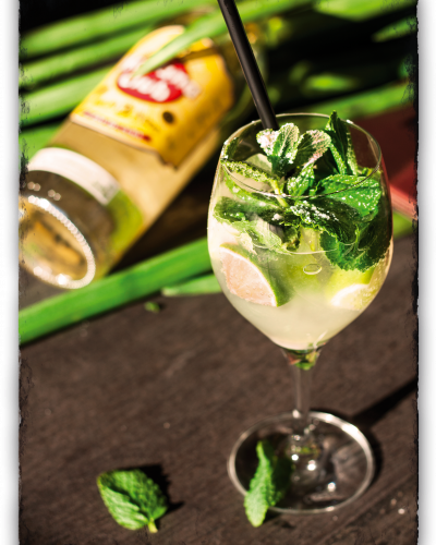 Mojito_Neu